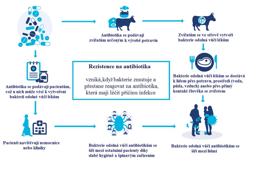 3.3.2 Mechanismy šíření rezistence vůči antibiotikům Profesor Bereznyakov popisuje dvě hlavní cesty šíření rezistence vůči antibiotikům: 1. Neracionální používání antibiotik; 2.
