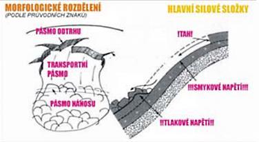 není přímou obětí pádu laviny, ale je přímým či nepřímým svědkem pádu laviny, jak komplexně postupovat při lavinovém neštěstí, jak lokalizovat oběti lavinové nehody a jak postupovat při jejich