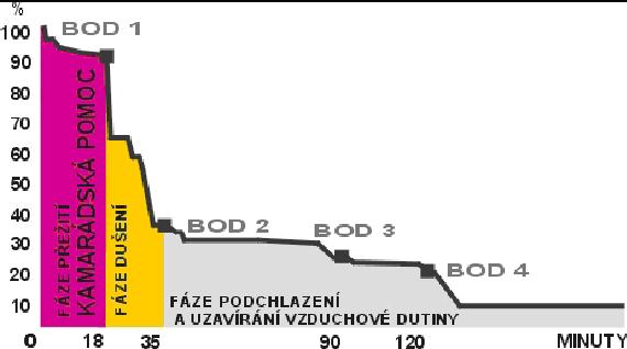 3.9 Lavinová záchrana a první pomoc Lavinovou záchranou se zabývá mnoho organizací i jednotlivců.