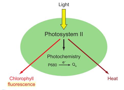 Princip Fotochemické a