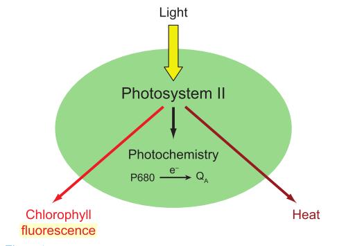 Princip Fotochemické a