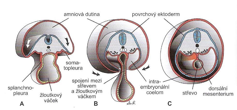 zejména mechanická