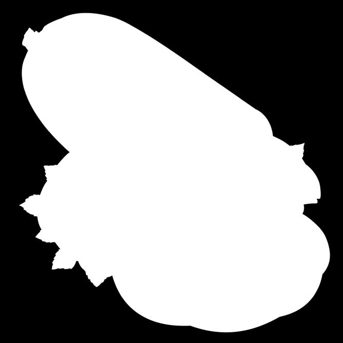 jakosti