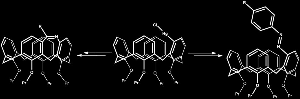 V této práci byly merkurované deriváty převedeny na nitrososloučeniny.