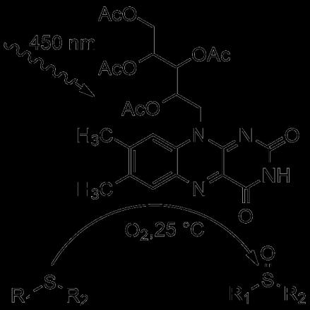 Organická chemie B1 Syntéza azikvadricyklanu jako prekurzoru cyklického karbenu CN 2 Filip Gracias Ing. Tomáš Martinů, Ph.D.