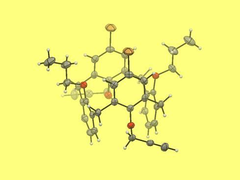 Organická chemie M1 Zavádění terminálních alkynů do skeletu calix[4]arenu jako příprava stavebních bloků pro následné reakce Tomáš Klejch prof. Ing. Pavel Lhoták, CSc.