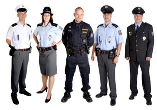 8 Dušanovy zápisky Struktura Policie České republiky Ahoj, připravil jsem si článek o struktuře Policie České republiky, ale jelikož bych to nezvládl sepsat sám, tak jsem poprosil pana praporčíka
