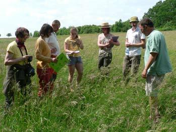 Každoroční botanické sledování probíhalo v letech 2000 2004 v době rychlých sukcesních změn.