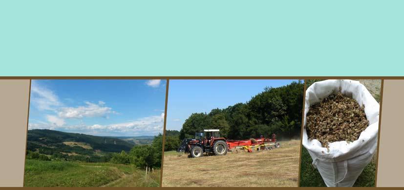 ÚDRŽBA KRAJINY Pozemkový spolek Čertoryje Vlčí hrdlo Výkupy V roce 2015 došlo k výkupu tří drobných pozemků o celkové výměře 624 m² z financí poskytnutých Nadací Veronica.