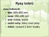 způsobu řešení dojde k mimořádné události (např.