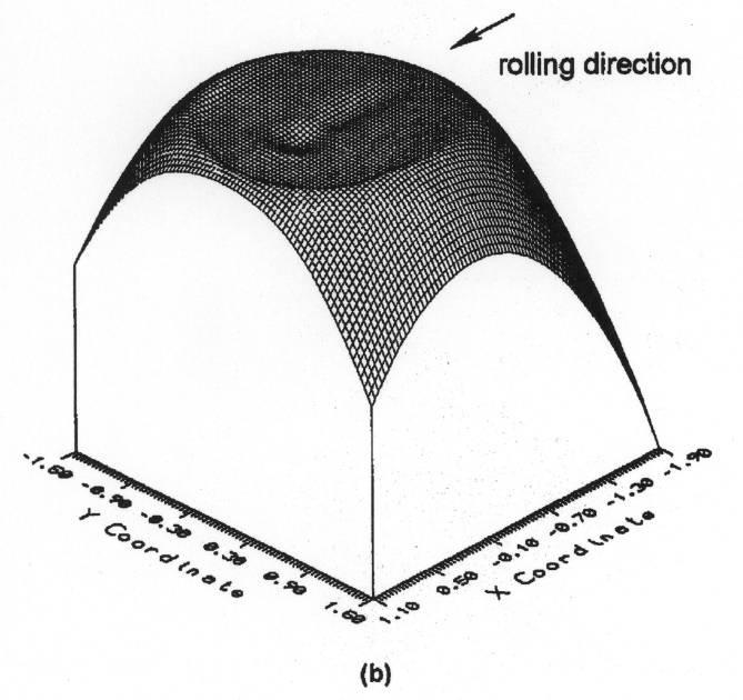 Pro numerickou simulaci kontaktní úlohy se kontaktní povrch (v matematickém vyjádření rovnice tloušťky mazacího filmu) modifikuje nejčastěji matematickou funkcí popisující tvar povrchové nerovnosti.