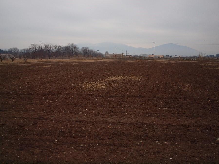 Pole A (viz Obrázek 11) se nachází na pozemku zemědělské sekce Aristotelovy univerzity v Soluni, na které jsem v době výzkumu studoval.