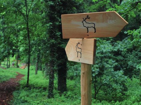 ČR. Pojďte s námi do přírody na www.blizprirode.cz.