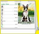 letní a zimní čas, 57 stran BALBSL1 165 x 135 42,00 Kalendář stolní Pes, věrný přítel (IDEÁL) - psí jména české týdenní jmenné