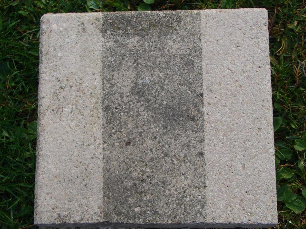 7.2. Zkouška makroskopickým vyhodnocením kolonizovaného podkladu (lithotypu) A B C Obrázek 18: Pokus II: Podklad (lithotyp): vápenocementová deska 30 cm x 30 cm, tloušťka 6 cm A) Aplikováno koloidní