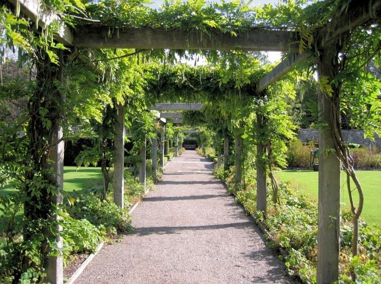 Pergola