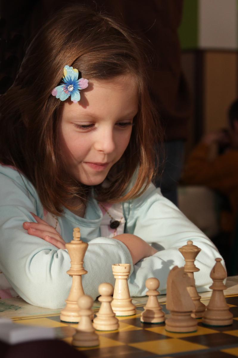 O projektu: Šachy jsou součástí školních osnov ve více než 30 zemích světa Na základě řady studií přijal v roce 2012 Evropský parlament deklaraci doporučující členským zemím zavedení
