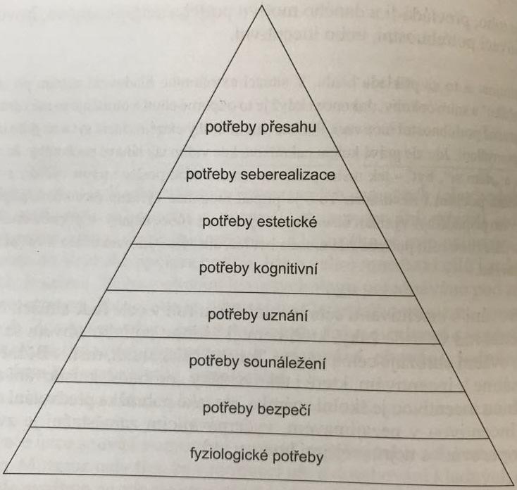 k určitému objektu či k aktivitě směřovat, nebo se jí naopak vyhnout. Nakonečný (2014, s. 15) popisuje motivaci jako intrapsychický proces, který pramení z vnitřní a vnější situace člověka.