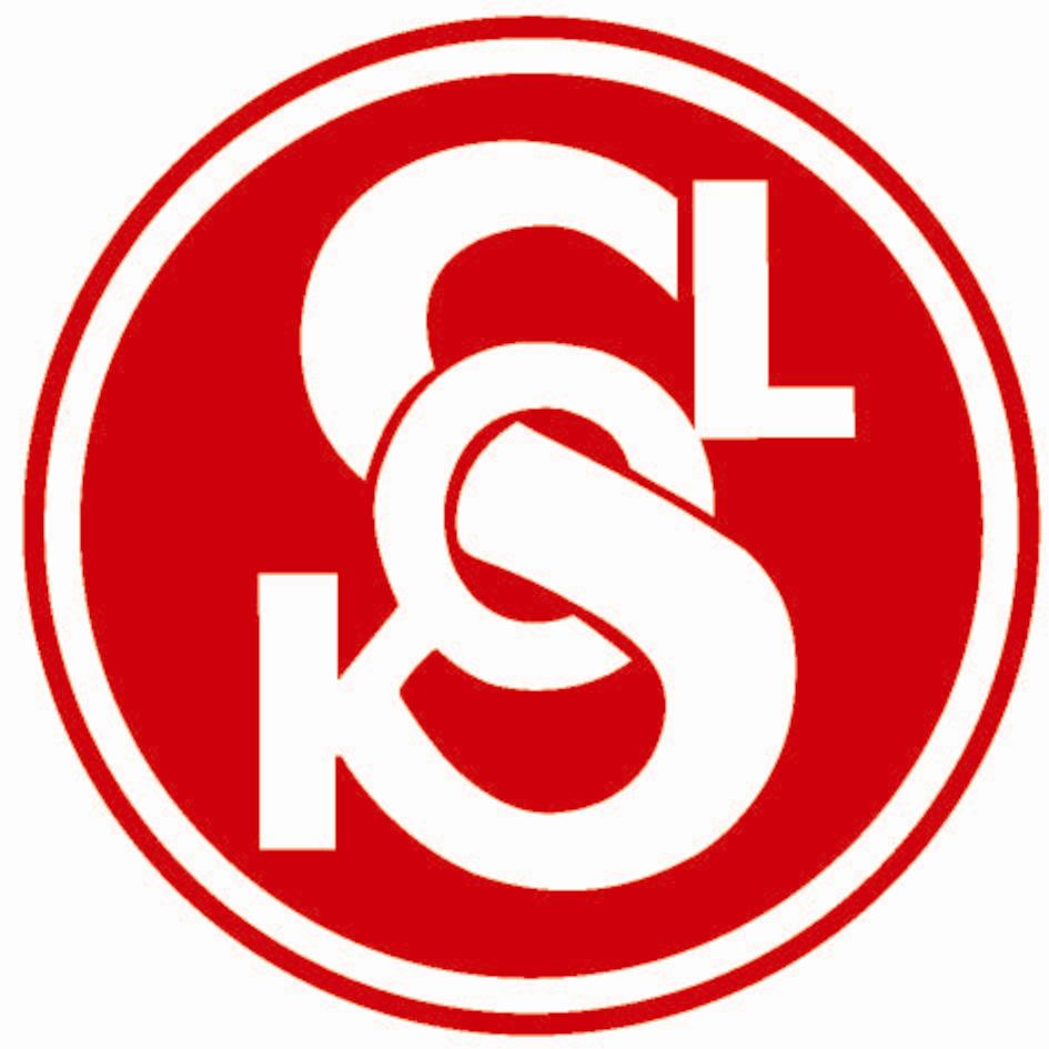 SOKOL LETEM PODZIMEM Letošní slunečný podzim musel dělat radost každému to nezvykle dlouhé teplo a široká paleta barev, to se prostě jen tak neokouká.