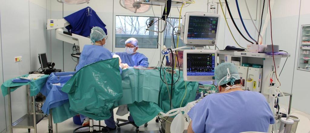 Dětské oddělení Pardubické nemocnice spolupořádalo celostátní konferenci Pracovní dny dětské gastroenterologie a výživy, která se konala 5. až 7. října 2017 v kongresovém centru EA Hotelu Kraskov.