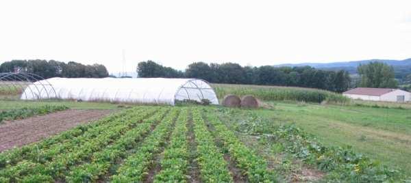 Farma Yanna a Armelle Meuryovcov produkcia