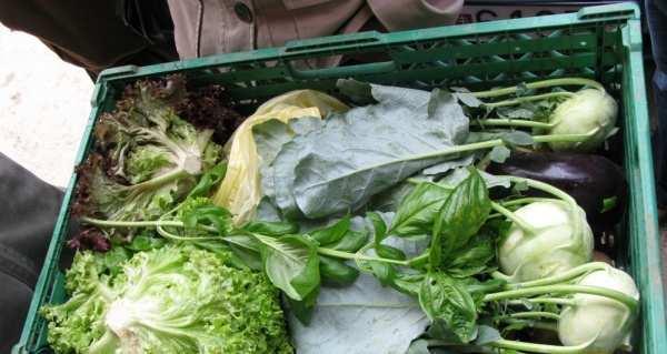 Košík základná jednotka obchodu v AMAP farmár pripravuje každému spotrebiteľovi (rodine) košík - debničku s produktmi - zelenina, ovocie, mliečne výrobky, mäso a pod.