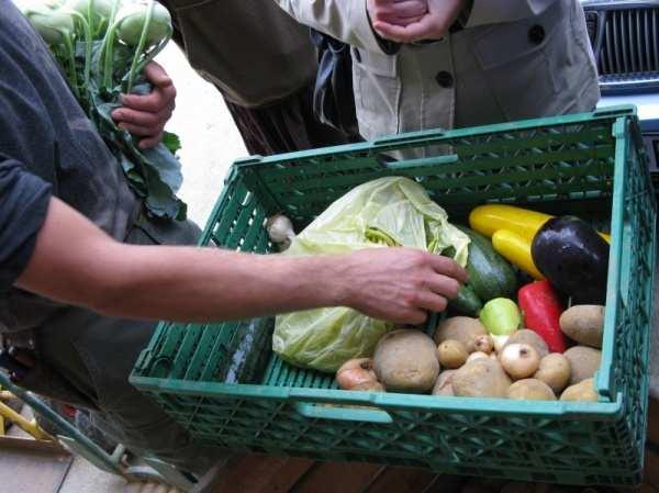 Košík základná jednotka obchodu v AMAP spotrebiteľ vyžaduje pestrý košík farmár sa snaží zvyšovať sortiment a finalizovať