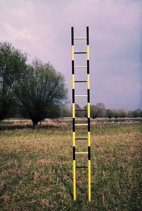 1, 2: Meditace, 1977 1.3 Průmyslové stavby a komíny dnes 1.3.1 Funkce Dnešní průmyslové stavby můžeme rozdělit na dvě základní skupiny. Ty, které fungují dál, a ty, které chátrají.