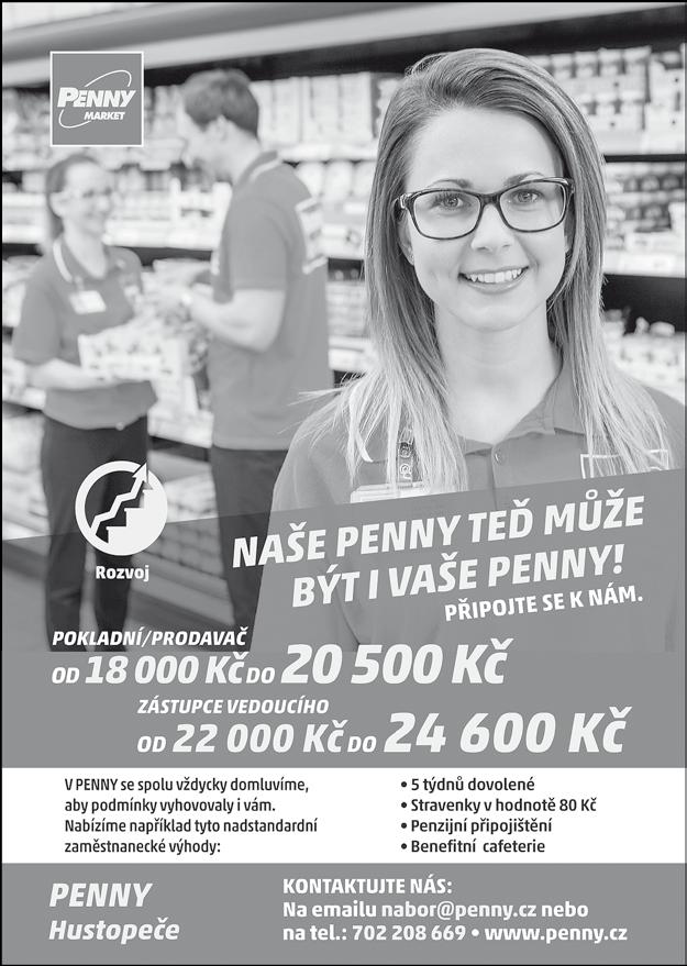Inzerce Sháním ke koupi dům či chalupu ve Velkých Pavlovicích a