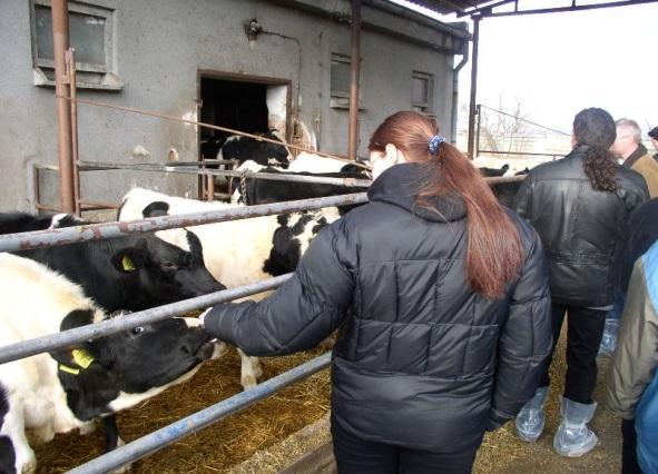agropodnikanie-farmárstvo