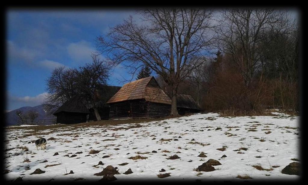 Február Mláčky sú ako trblietavé zrkadlá. Na dvoroch stoja strážcovia zimy. Vločky sa hrajú s vetrom na naháňačku. Kopce majú na hlavách biele čiapočky.