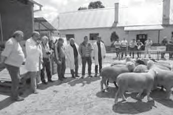 Z ČINNOSTI ZVÄZU Nákupný trh plemenných baranov konaný dňa 16. 5. 2015 v Pleši Ing. Pavol Gúgľava, ZCHOK na Slovensku-družstvo Šampión NT- je na neudržanie. Cenu za šampióna odovzdáva Doc.