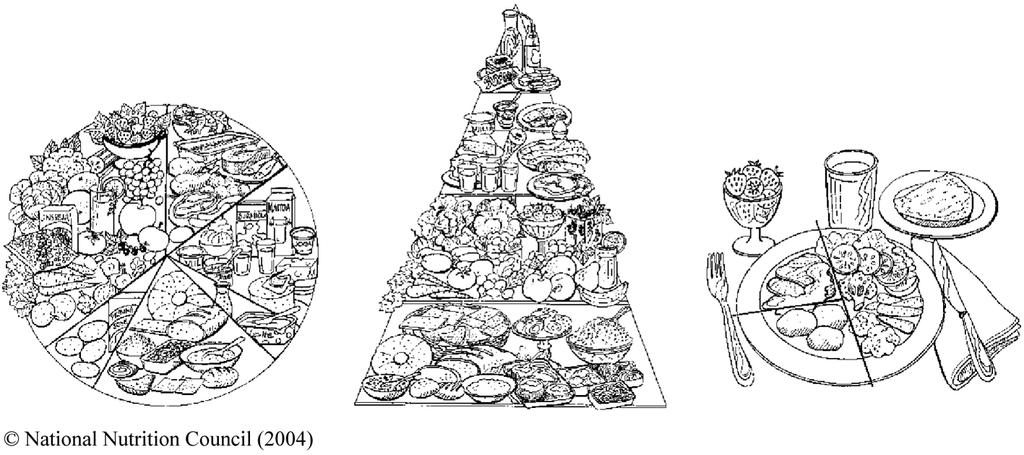 Typy grafické prezentace: potravinová pyramida, potravinový kruh, talíř apod.