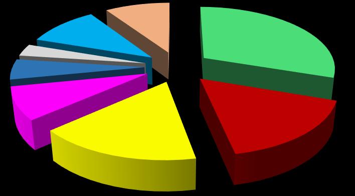 Tabulka 8 Slabiny ve výcviku [autor] slabiny ve výcviku četnost % zkušební řády/atesty 29 30,2 personální omezení 16 16,7 ostatní /čas, vlastní nezkušenost/ 16 16,7 okolnosti tréninků 8