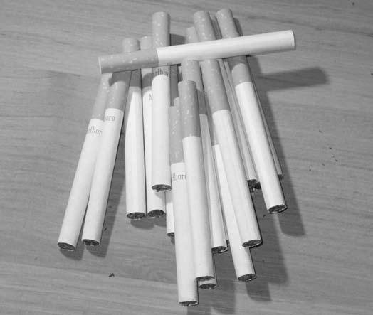 Inak tomu nebolo ani v týchto letných mesiacoch. Poriadok musí byť aj počas leta Colníci zo staníc CÚ (SCÚ) majú rušno po celý rok, leto nevynímajúc.