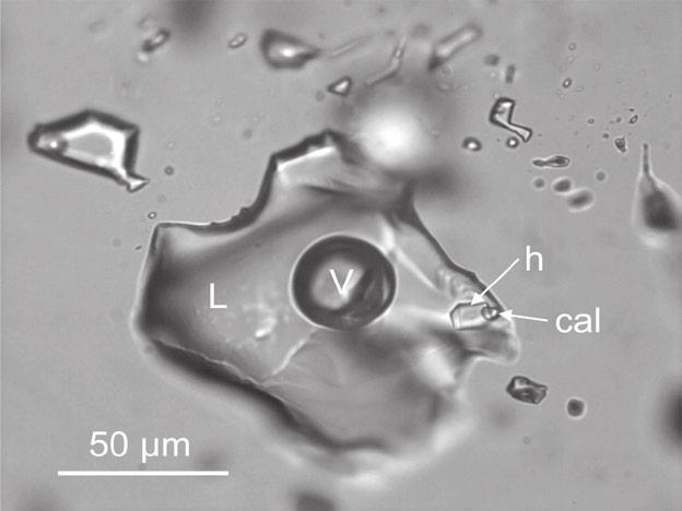 Přehled výzkumů 58-1, Brno 2017 Zjištěné vlastnosti fluid v inkluzích v artefaktech, zejména jejich fázové složení (definuje petrografické typy FI podle přítomnosti kapalin L liquid, plynů V vapour,
