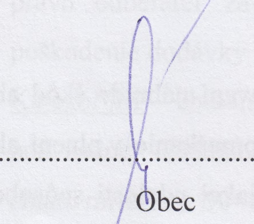 prehlasujú, že ich prejavy vôle sú