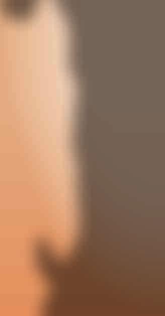Prosinec 11 12 13 14 15