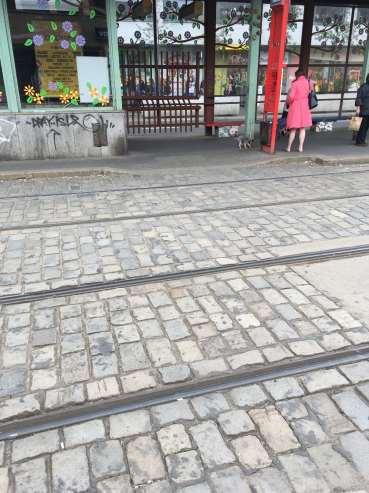 Projekt "Dopravní obslužnost" Obr. 20 Místo pro přecházení tramvajové trati 5.