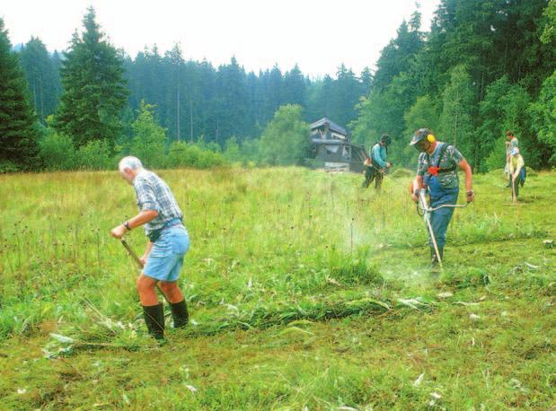 Kosení louky na Václavíkově Studánce 7.