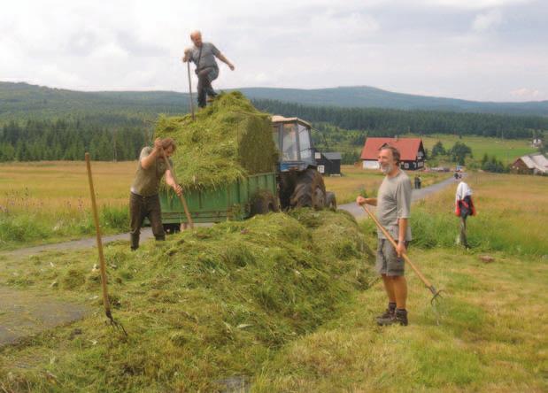 V pozadí zchátralý dům, který se v zimě 2002 2003