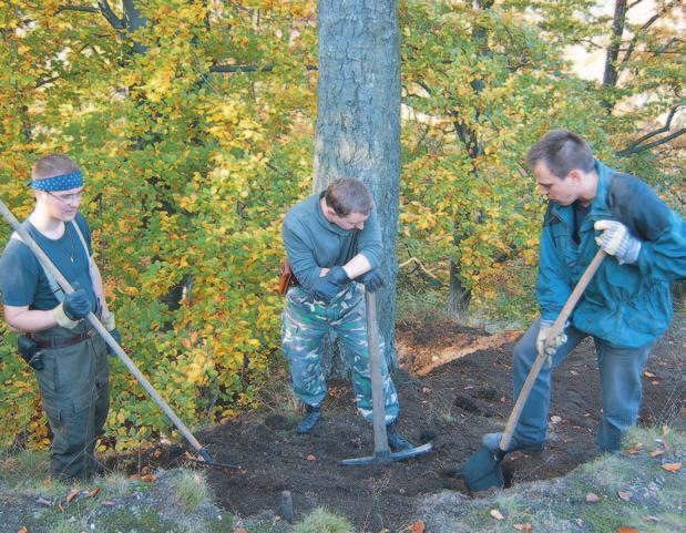 Terénní úpravy na skalní vyhlídce Jezdec