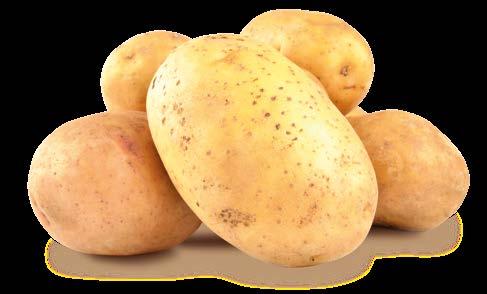 ČERVENÉ 