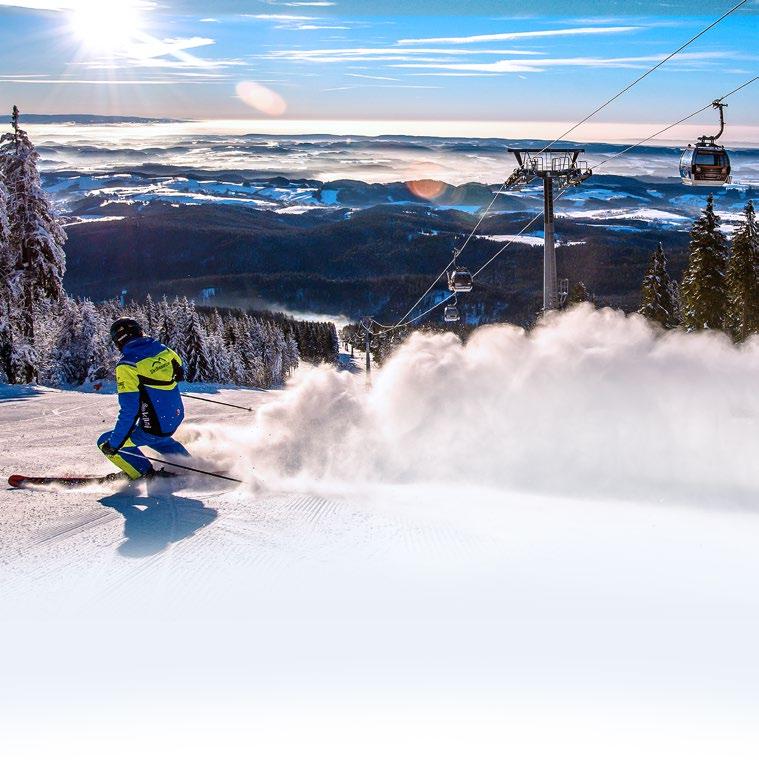 44 km sjezdovek na 1 skipas 46 lanovek, vleků a pojízdných koberců 22 roleb 210 sněžných děl a tyčí 5 půjčoven 1 000 párů lyží 200 terénních koloběžek