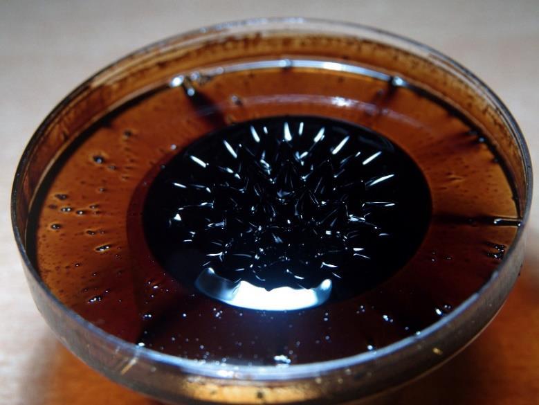 Zobrazení magnetického pole působením na kapalinu ferrofluid je pak na obrázcích 33 až 35.