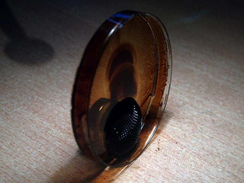 Obrázek 35: Magnetické pole nedovolí kapalině ferrofluid uniknout z misky.