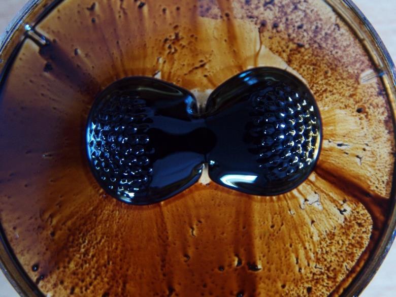 Obrázek 43: Ferrofluid zobrazující magnetické pole