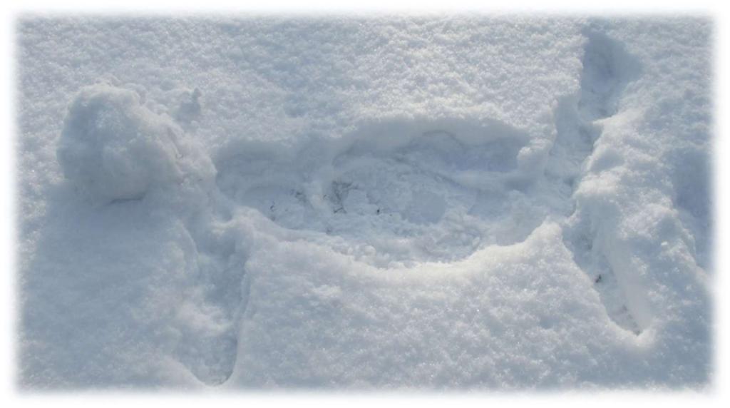 Nechyběly ani perníčky a sladké cukroví. Landart Zimní měsíce se spoustou sněhu se staly výtvarným materiálem pro studenty primy a sekundy.