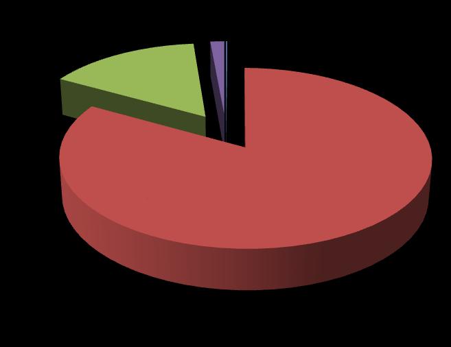 Skladba dopravního proudu Motocykly = 0,1% Osobní automobily = 83%