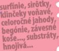 Prečo ste